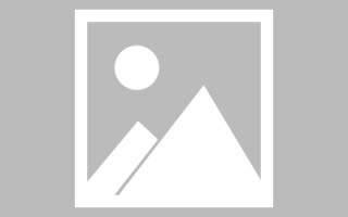 莘县河池网站建设定制（河池网站建设定制招标公告）
